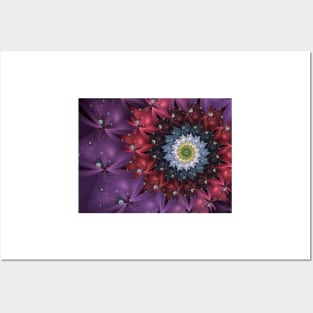 Floral Fractal Firework Posters and Art